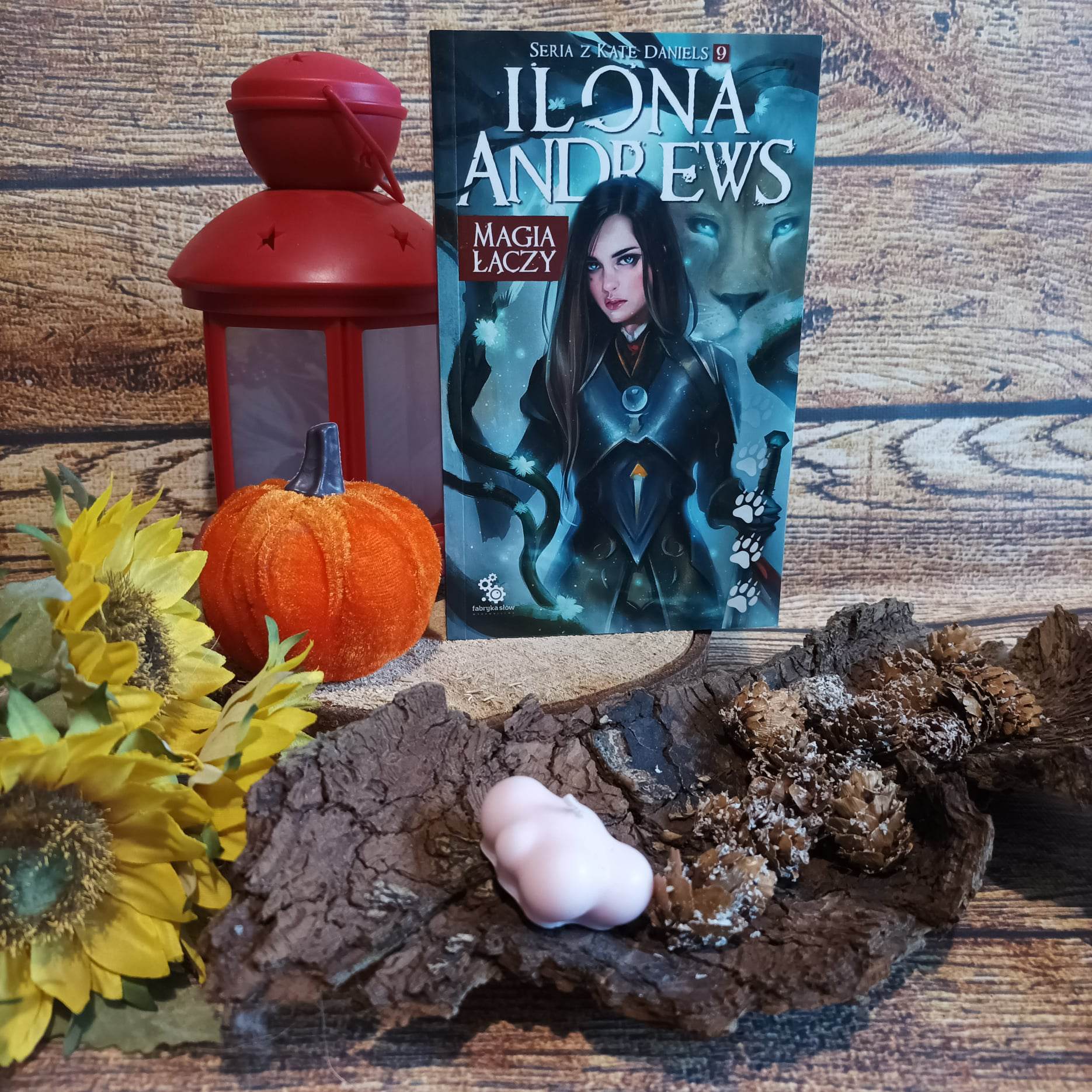 Magia łączy Ilona Andrews