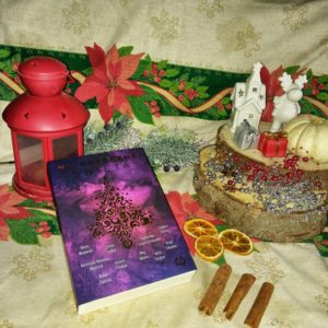 Niegrzeczne święta Antologia [ChristmasBooks]
