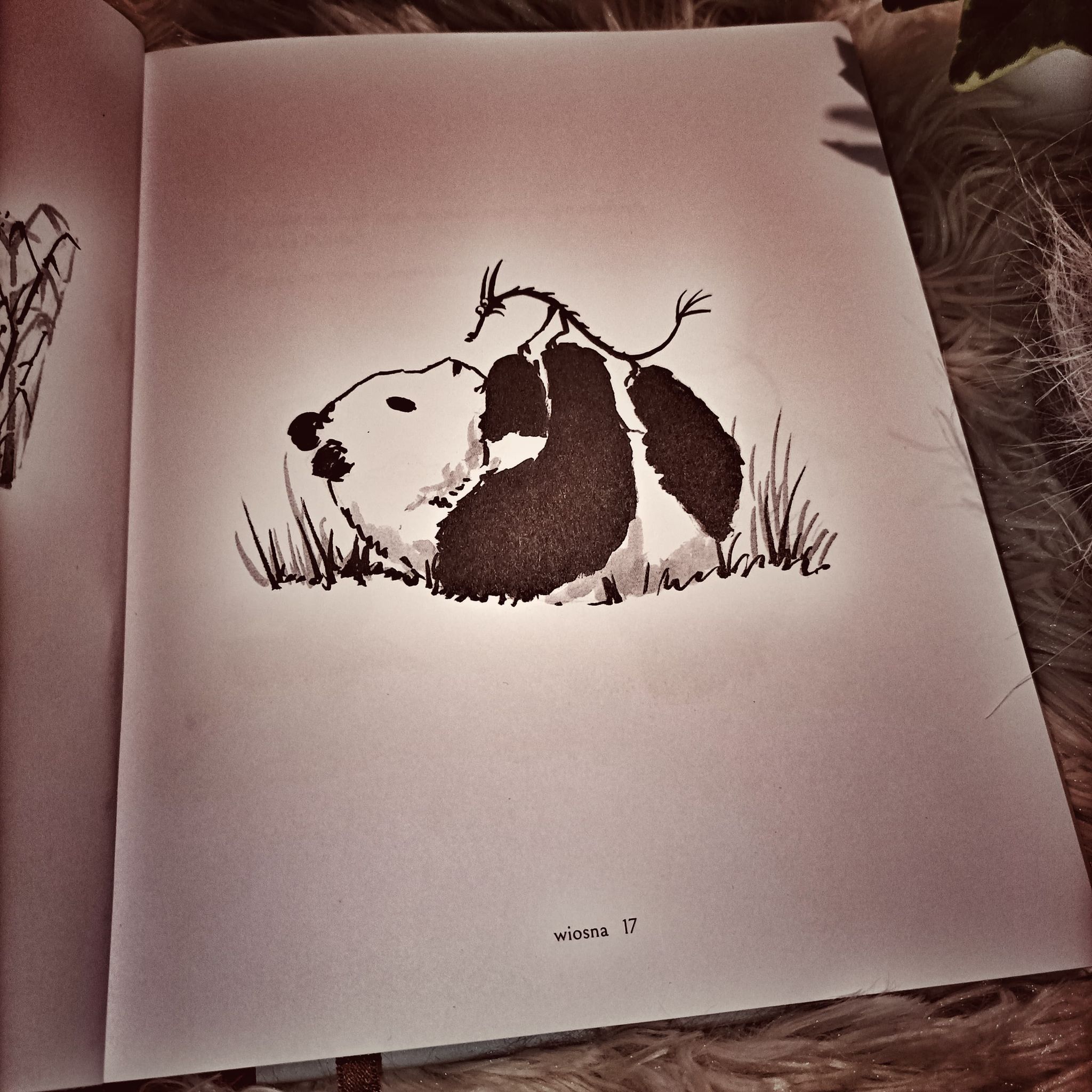 Wielka Panda i Mały Smok