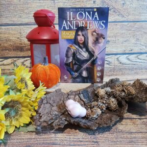 Read more about the article Magia triumfuje Ilona Andrews