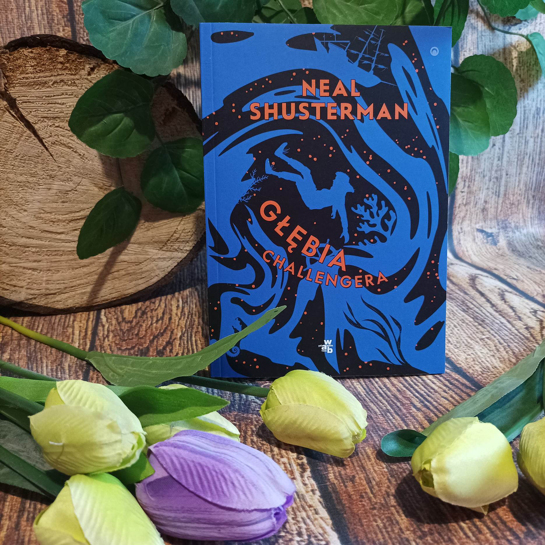 You are currently viewing Głębia Challengera Neal Shusterman