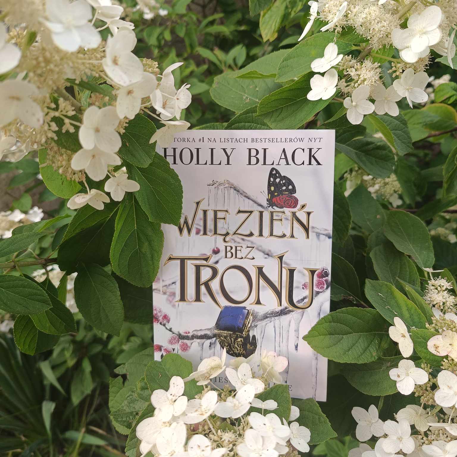 You are currently viewing Więzień bez tronu Holly Black