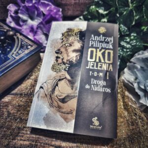 Read more about the article Droga do Nidaros Andrzej Pilipiuk