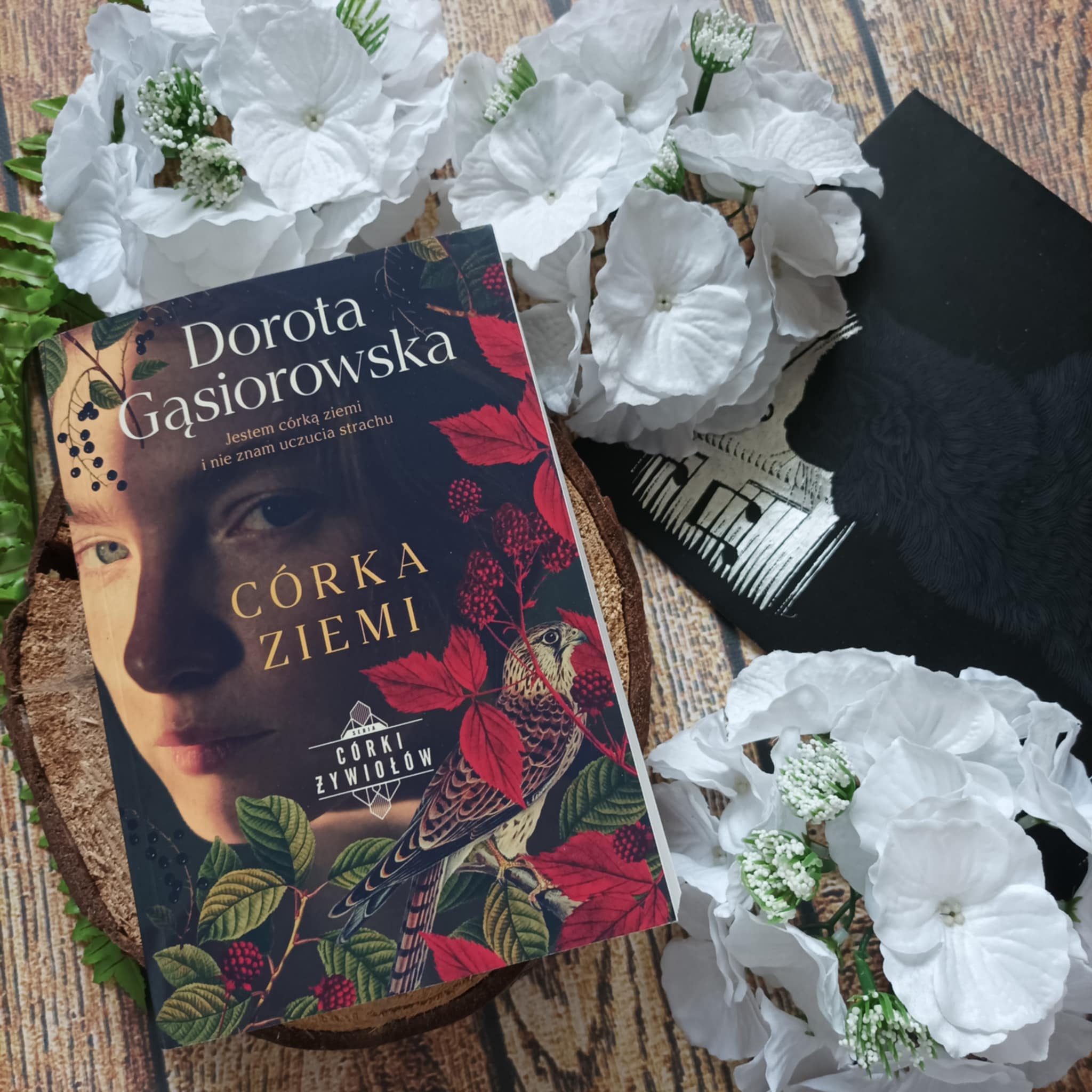 You are currently viewing Córka ziemi Dorota Gąsiorowska