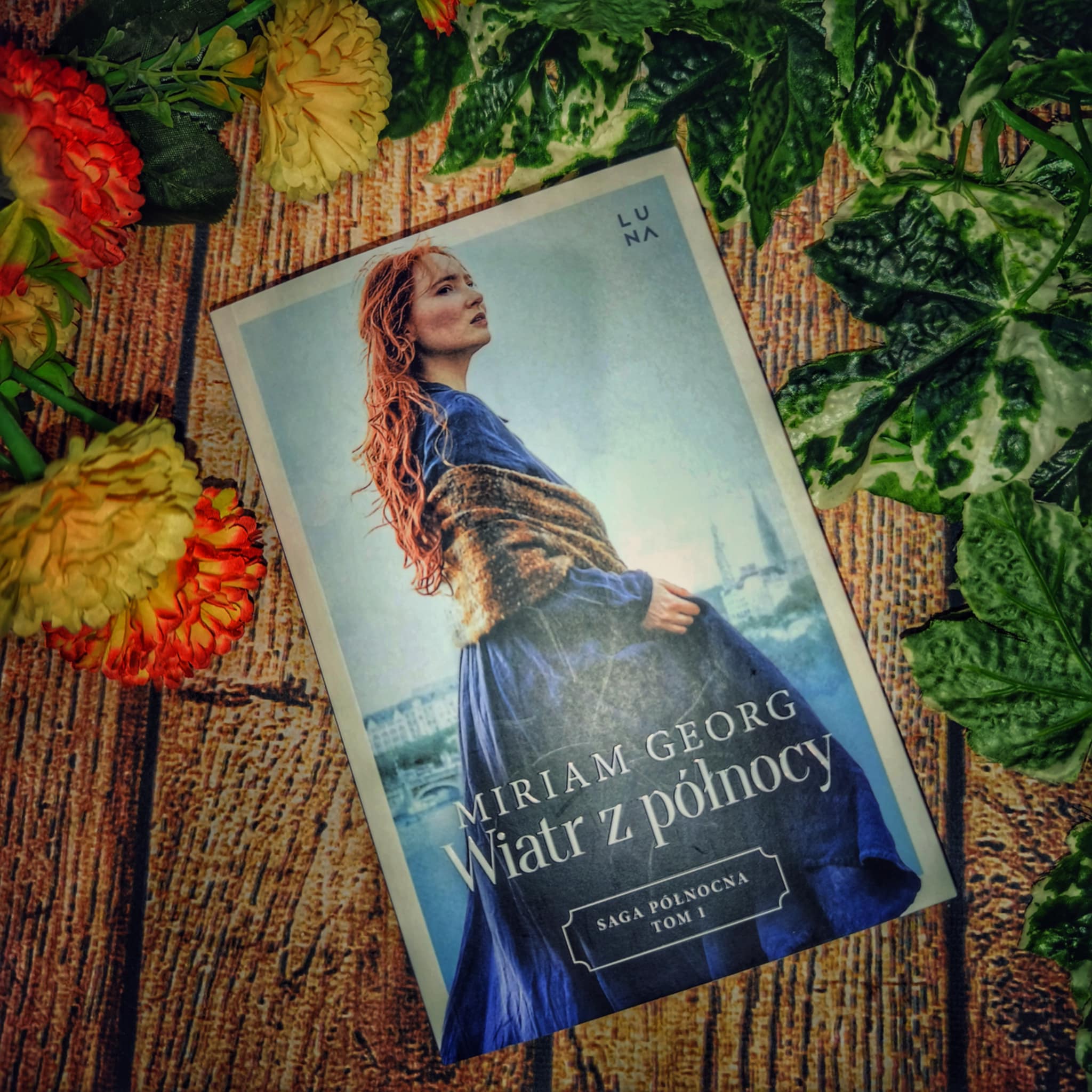 You are currently viewing Wiatr z północy Miriam Georg