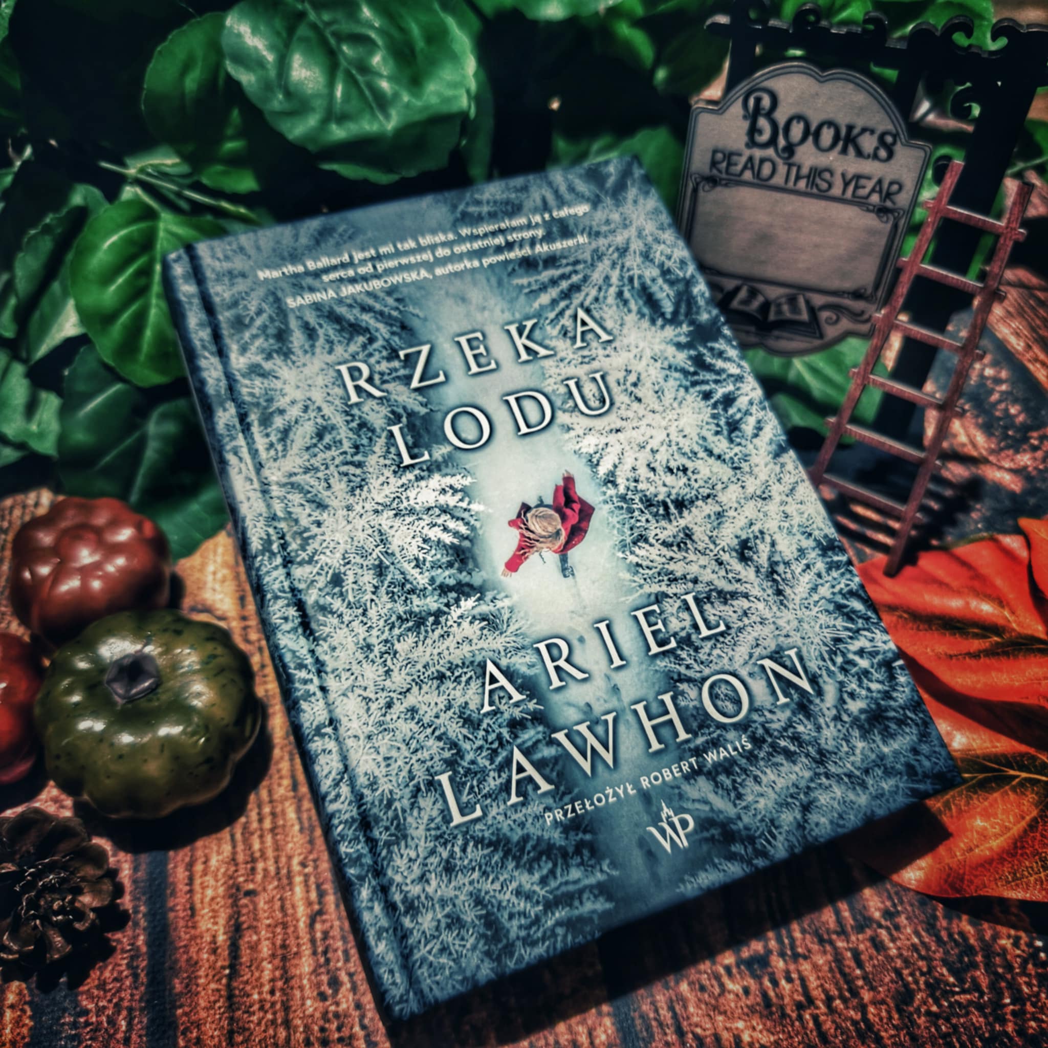 You are currently viewing Rzeka lodu Ariel Lawhon