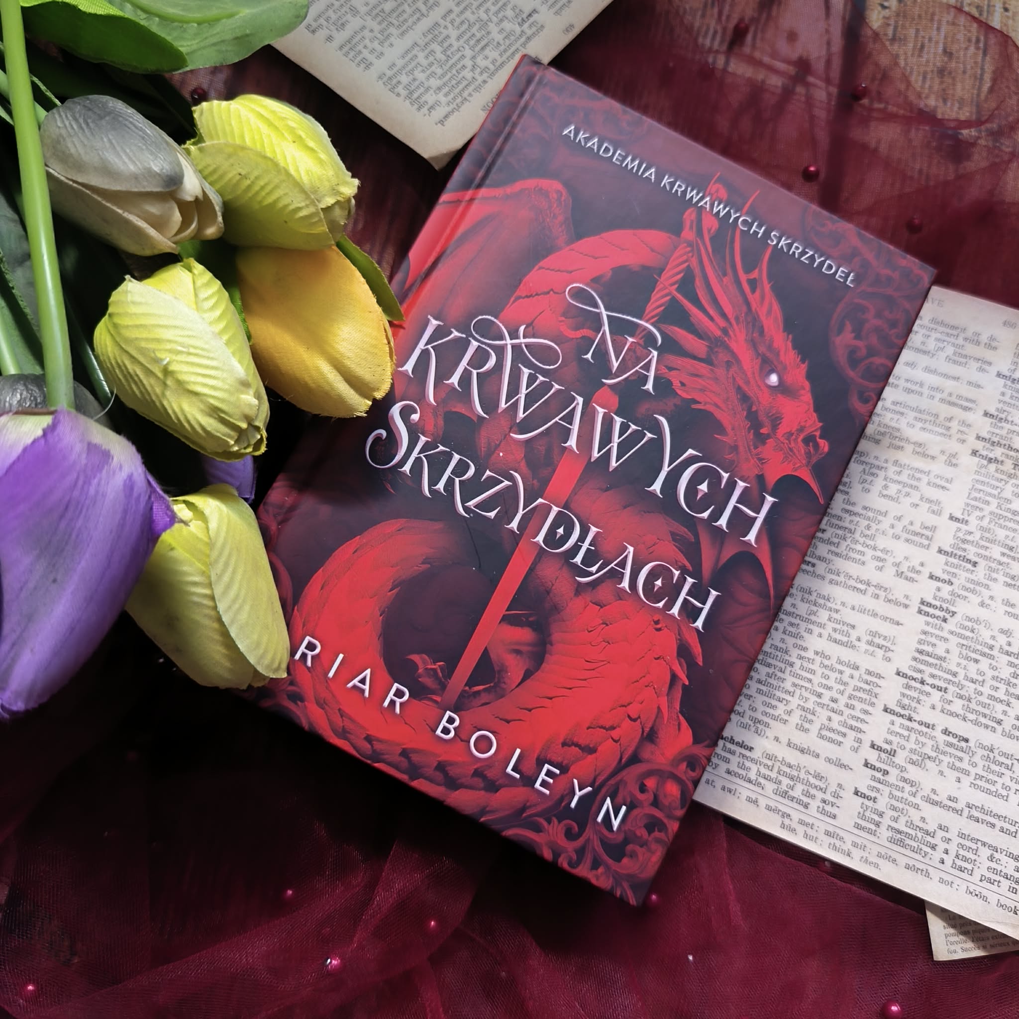 You are currently viewing Na krwawych skrzydłach Briar Boleyn