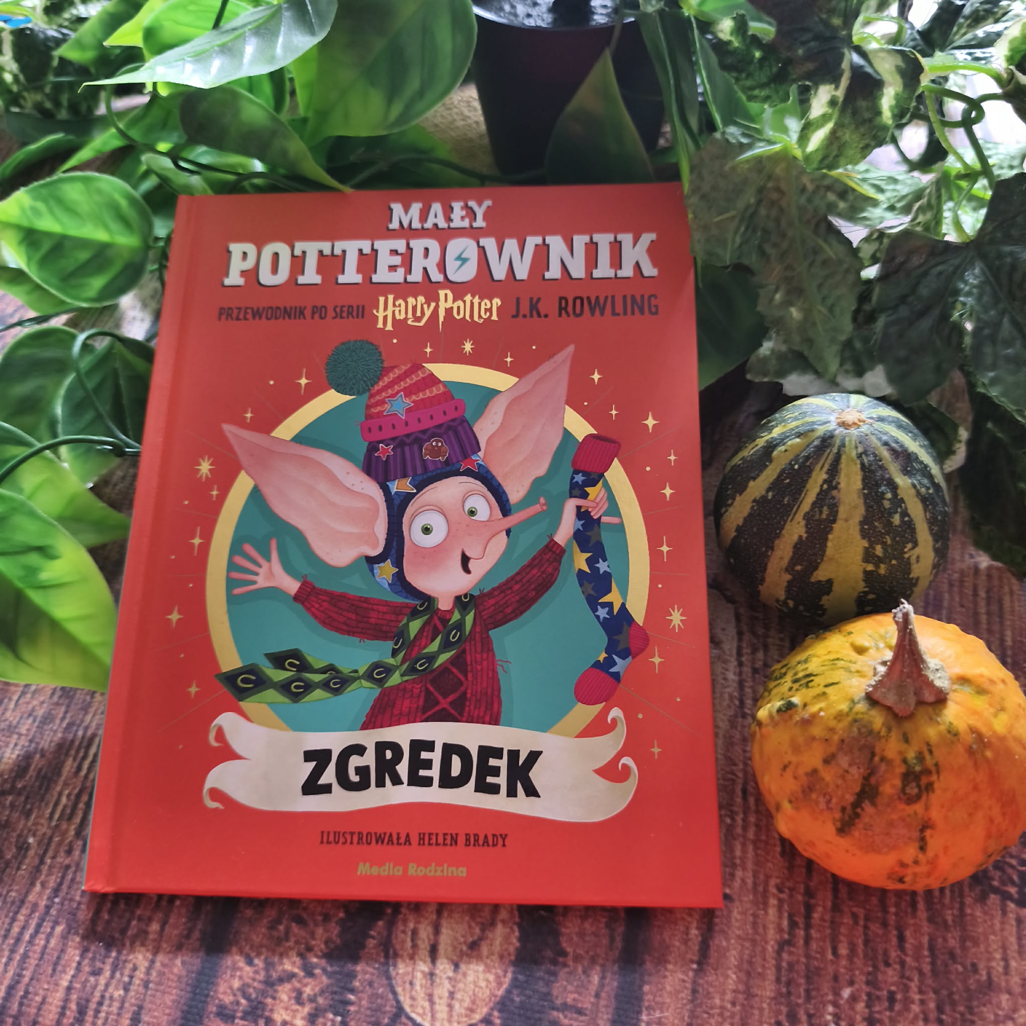 You are currently viewing Mały potterownik. Zgredek J.K. Rowling