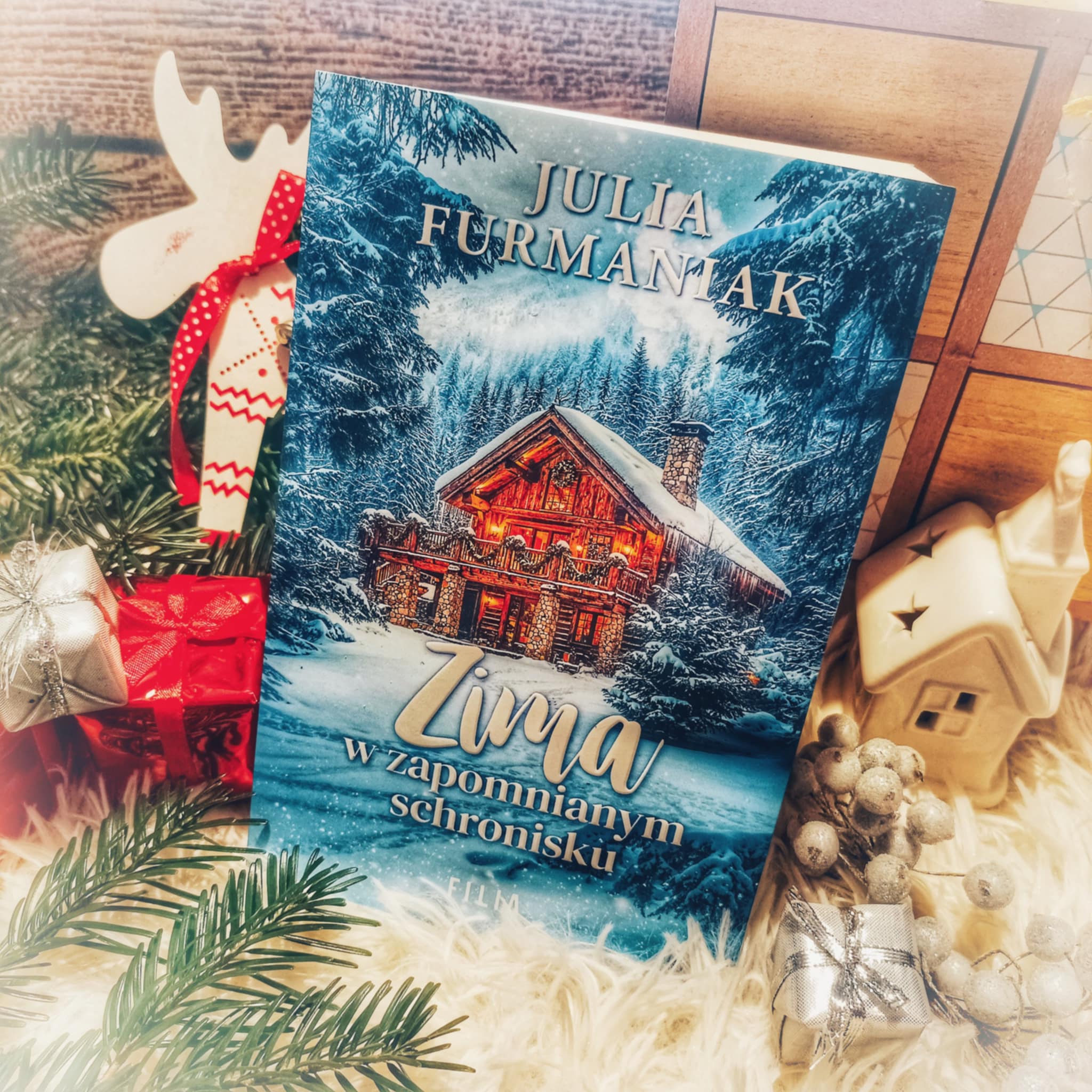You are currently viewing Zima w zapomnianym schronisku Julia Furmaniak [ChristmasBooks]